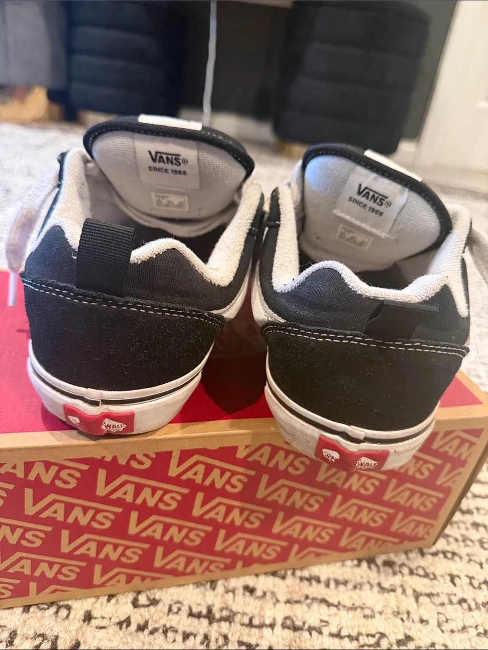 Vans Knu School